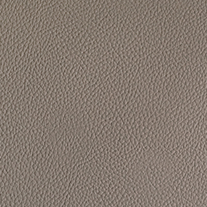 Beige Synthetic Leather Premium